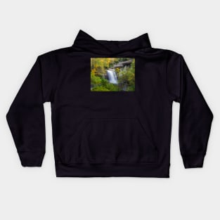 Looking Glass Falls Kids Hoodie